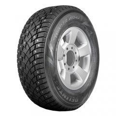 Delinte Winter WD42 Delinte Winter WD42