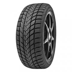Delinte Winter WD6 Delinte Winter WD6