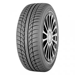 GT Radial Champiro WinterPro 