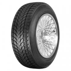 Landsail Winter Lander Landsail Winter Lander