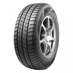 LingLong Winter Max Van LingLong Winter Max Van