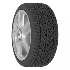 Riken Raptor Riken Raptor
